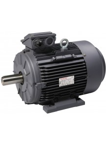 AC MOTORS 3PHASE - TECHTOP 